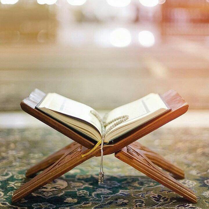 Sekolah tahfidz anak terbaik